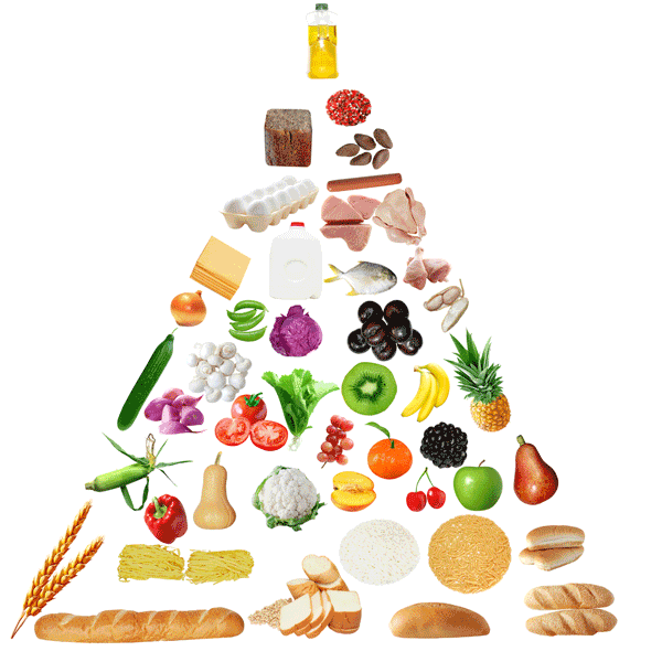 Die Ernährungspyramide für Senioren.