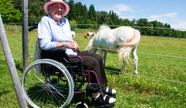 Eine Frau im Rollstuhl steht vor einer Weide auf der eine Kuh grast.